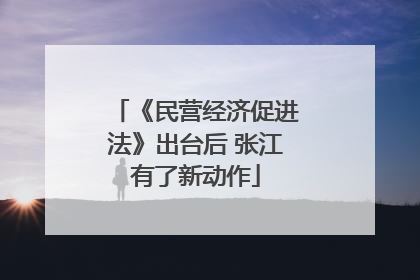 《民营经济促进法》出台后 张江有了新动作