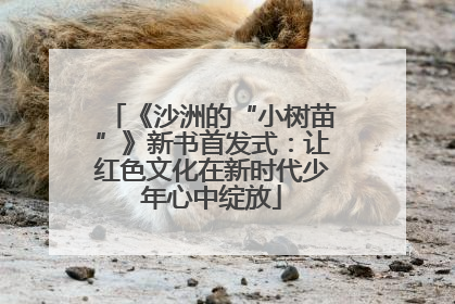《沙洲的“小树苗”》新书首发式：让红色文化在新时代少年心中绽放