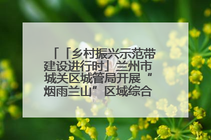 「乡村振兴示范带建设进行时」兰州市城关区城管局开展“烟雨兰山”区域综合整治专项行动