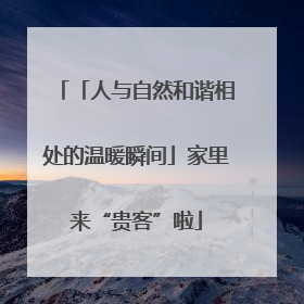 「人与自然和谐相处的温暖瞬间」家里来“贵客”啦