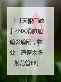 「天眼问政」小区消防通道设道闸，物业：违停太多规范管理