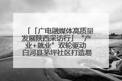 「广电融媒体高质量发展陕西采访行」“产业+就业”双轮驱动 白河县茅坪社区打造易地搬迁后扶新样本