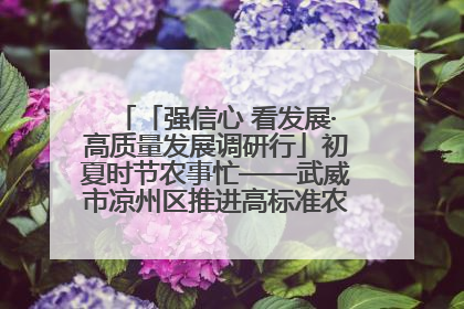 「强信心 看发展·高质量发展调研行」初夏时节农事忙——武威市凉州区推进高标准农田建设见闻