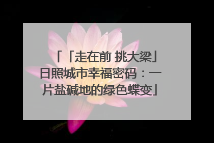 「走在前 挑大梁」日照城市幸福密码：一片盐碱地的绿色蝶变