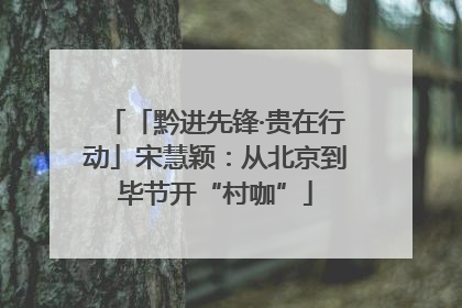 「黔进先锋·贵在行动」宋慧颖：从北京到毕节开“村咖”