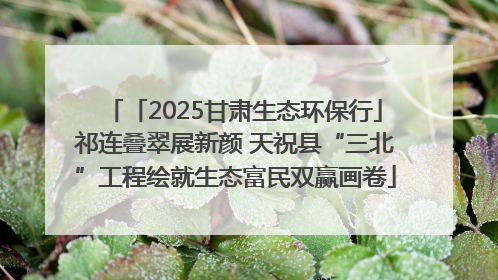 「2025甘肃生态环保行」祁连叠翠展新颜 天祝县“三北”工程绘就生态富民双赢画卷