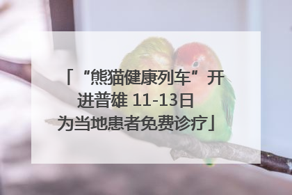 “熊猫健康列车”开进普雄 11-13日为当地患者免费诊疗