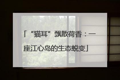 “猫耳”飘散荷香：一座江心岛的生态蜕变