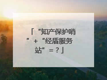 “知产保护哨”+“经盾服务站”=？