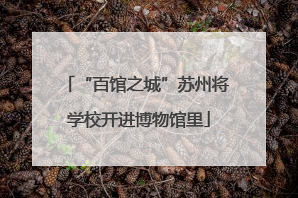“百馆之城”苏州将学校开进博物馆里