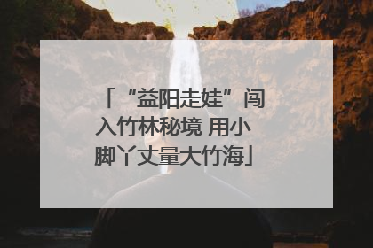 “益阳走娃”闯入竹林秘境 用小脚丫丈量大竹海