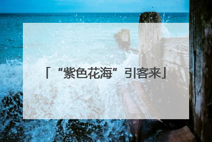 “紫色花海”引客来