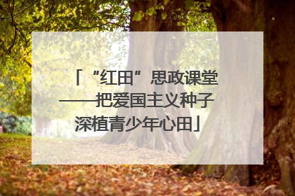 “红田”思政课堂——把爱国主义种子深植青少年心田