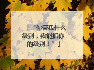 “你管我什么级别，我能抓你的级别！”