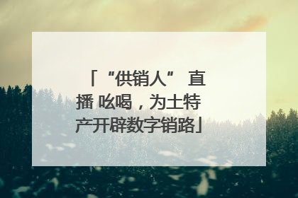 “供销人” 直播 吆喝，为土特产开辟数字销路