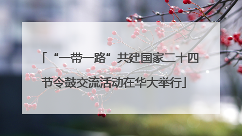 “一带一路”共建国家二十四节令鼓交流活动在华大举行