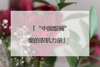 “中国饭碗”里的农机力量