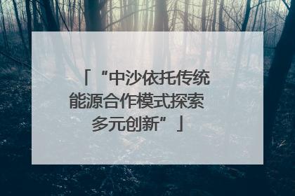 “中沙依托传统能源合作模式探索多元创新”
