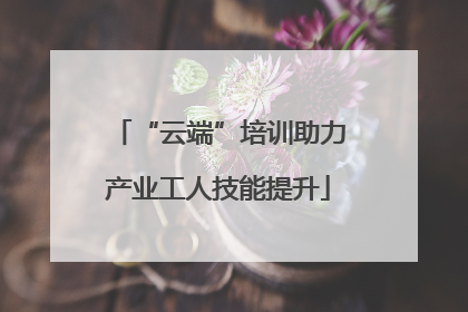 “云端”培训助力产业工人技能提升
