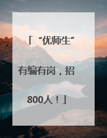 “优师生”有编有岗，招800人！