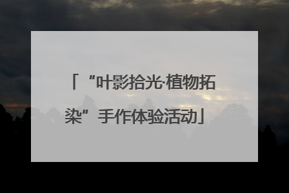 “叶影拾光·植物拓染”手作体验活动
