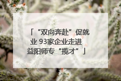 “双向奔赴”促就业 93家企业走进益阳师专“揽才”