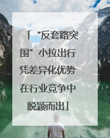 “反套路突围”小拉出行凭差异化优势在行业竞争中脱颖而出