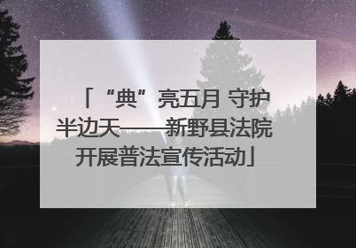 “典”亮五月 守护半边天——新野县法院开展普法宣传活动