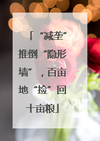 “减垄”推倒“隐形墙”，百亩地“捡”回十亩粮