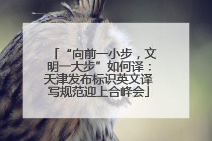 “向前一小步，文明一大步”如何译：天津发布标识英文译写规范迎上合峰会
