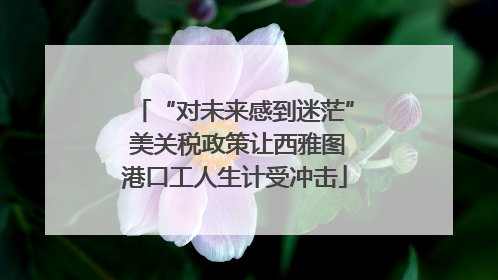 “对未来感到迷茫” 美关税政策让西雅图港口工人生计受冲击