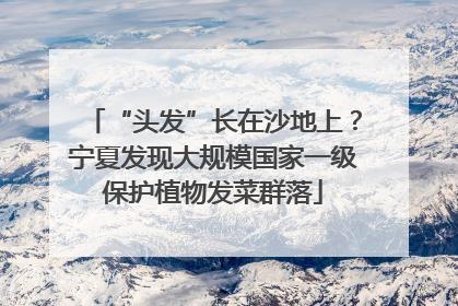 “头发”长在沙地上？宁夏发现大规模国家一级保护植物发菜群落