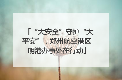 “大安全”守护“大平安”，郑州航空港区明港办事处在行动
