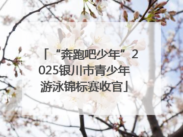 “奔跑吧少年”2025银川市青少年游泳锦标赛收官
