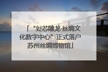 “彣芯雕龙·丝绸文化数字中心”正式落户苏州丝绸博物馆