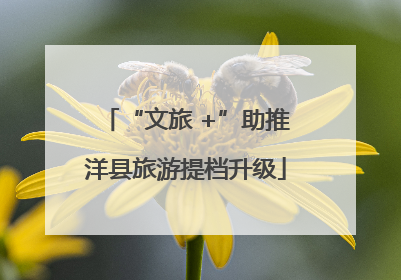 “文旅 +”助推洋县旅游提档升级