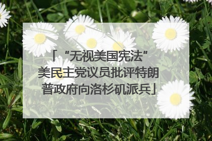 “无视美国宪法” 美民主党议员批评特朗普政府向洛杉矶派兵