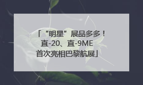 “明星”展品多多！直-20、直-9ME首次亮相巴黎航展