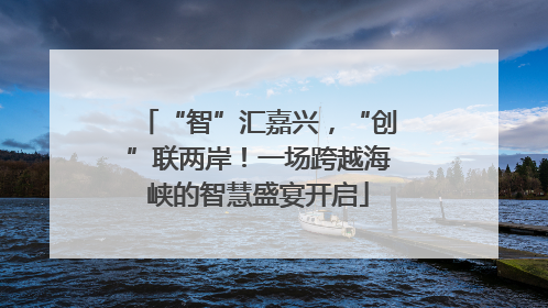 “智”汇嘉兴，“创”联两岸！一场跨越海峡的智慧盛宴开启