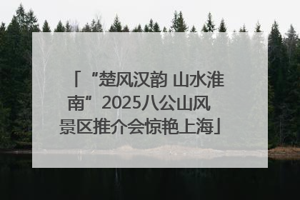 “楚风汉韵 山水淮南”2025八公山风景区推介会惊艳上海