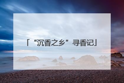 “沉香之乡”寻香记