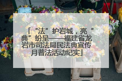 “法”护岩城，亮“典”纷呈——福建省龙岩市司法局民法典宣传月普法活动纪实