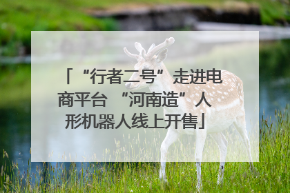 “行者二号”走进电商平台 “河南造”人形机器人线上开售