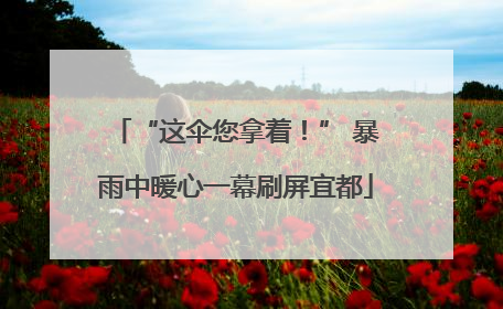 “这伞您拿着！” 暴雨中暖心一幕刷屏宜都