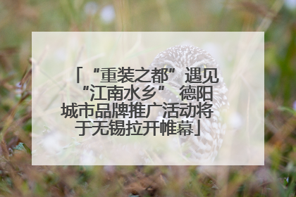 “重装之都”遇见“江南水乡” 德阳城市品牌推广活动将于无锡拉开帷幕