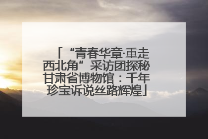 “青春华章·重走西北角”采访团探秘甘肃省博物馆：千年珍宝诉说丝路辉煌