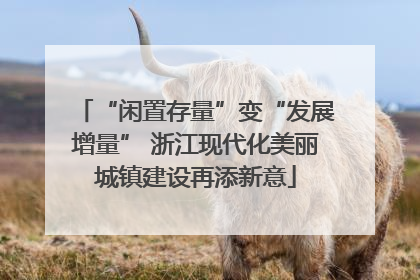 “闲置存量”变“发展增量” 浙江现代化美丽城镇建设再添新意
