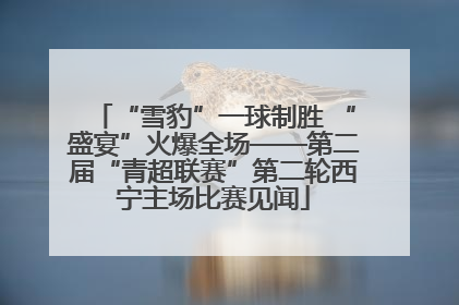 “雪豹”一球制胜 “盛宴”火爆全场——第二届“青超联赛”第二轮西宁主场比赛见闻