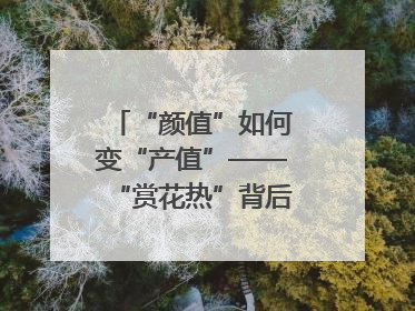 “颜值”如何变“产值”——“赏花热”背后的产业图谱