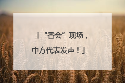 “香会”现场，中方代表发声！